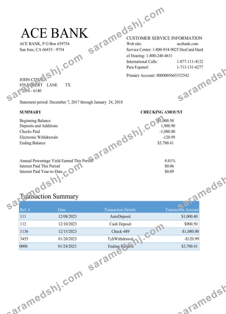 USA ACE bank statement Word and PDF template scr